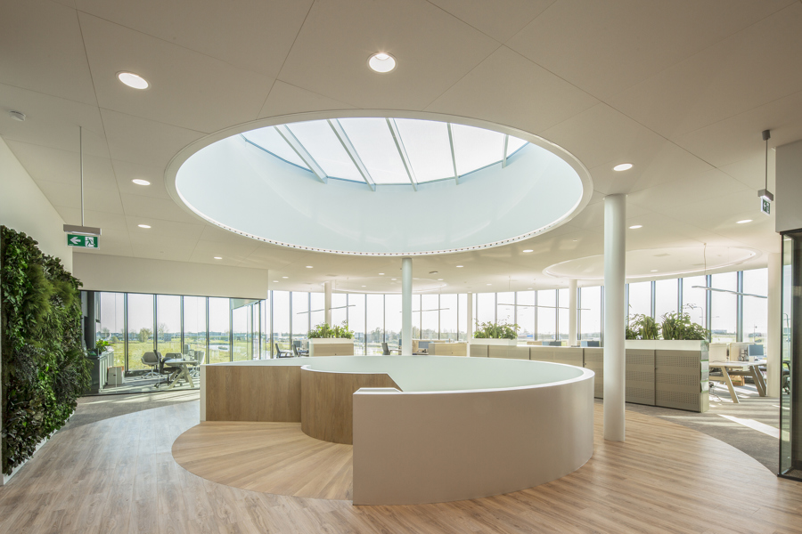 Lcpackaging Daklicht