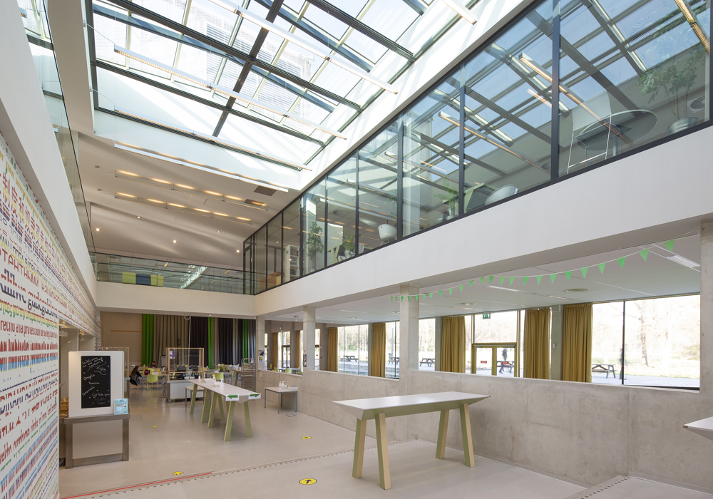 Internationale School Vide