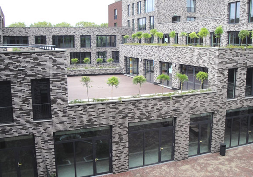 Oplevering Vita Website